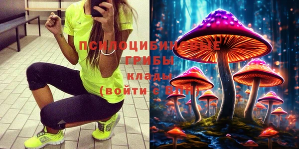 тгк Балахна