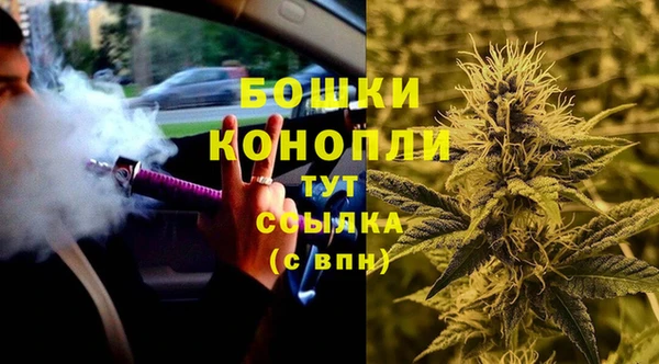 бутират Белокуриха