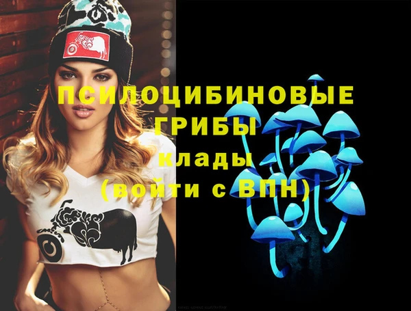 тгк Балахна