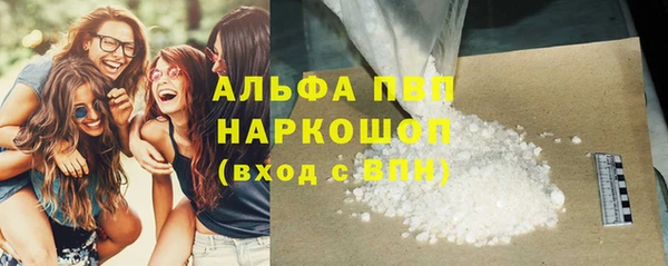 индика Новокубанск