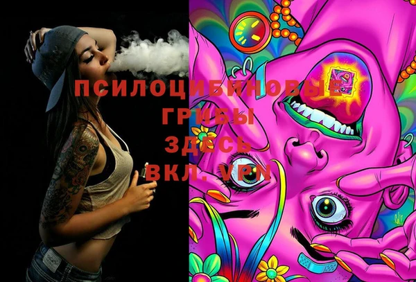 тгк Балахна